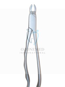 Pince d'extraction dentaire électrique en acier inoxydable à motif américain de haute qualité pour incisives inférieures Instruments chirurgicaux dentaires - Product Image 3