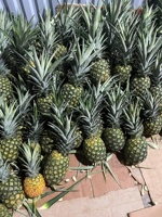 Verse Ananas van Hoge Kwaliteit, Merk uit Vietnam