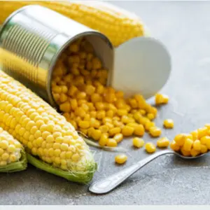 甜玉米粒罐头/干玉米粒2023年