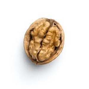 Semi di noci pelate di qualità Premium di qualità fresca essiccati a guscio di semi di qualità sana per uso alimentare all'ingrosso all'ingrosso