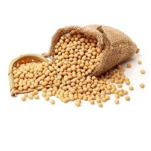 Grano de soja crudo de alta calidad y buena calidad en bolsas para alimentos a bajo precio - Product Image 1