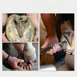 Lame incurvée en acier inoxydable de la meilleure qualité avec poignée ronde en bois couteau de coupe de sabot polyvalent main droite - Product Image 6