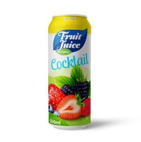 Groothandel 500Ml Vruchtensapdrank Met Fruitpulp Private Label Fabrikant Frisdrank Oem Productie Gratis Monsters