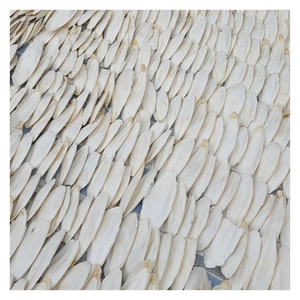 Accessoire de cage à oiseaux: os de seiche séché au soleil naturel, texture ferme, soutient la santé du bec, disponible en vrac pour une expédition rapide - Product Image 5