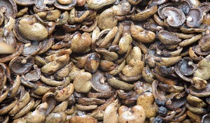 Cáscara de anacardo, un subproducto Agrícola Natural con múltiples aplicaciones - Product Image 2