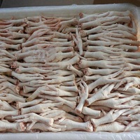 Pieds de poulet surgelés de haute qualité certifiés halal entiers En stock Acheter aujourd'hui Prix de gros Livraison rapide Produit haut de gamme