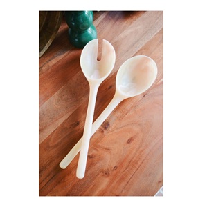 Most Selling Unique Resin Cutlery Handmade Indian Resin Spoon Set High Quality Serving Spoons Best Quality - Product Image 2