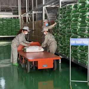 Vente en gros mondiale de gelée d'herbe noire traditionnelle vietnamienne en sacs pour les magasins modernes de thé à bulles et de desserts - Product Image 6