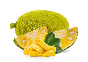 Segmentos de Jackfruit Congelados IQF de Proveedor Confiable del Delta de Vietnam |   Hecho en Vietnam - Product Image 5
