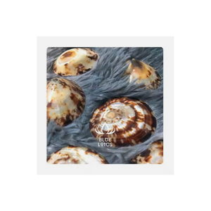 2024 CONCHAS DE LÁMPARA DE LACTANCIA NATURAL PARA EMBARAZADAS BEST SELLER SHELL MUY RECOMENDADAMENTE MUJER COMODIDAD PEZÓN DE MAMÁ - Product Image 1