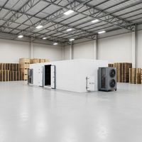 Automatische droogmachine voor fruit, chips en andere producten