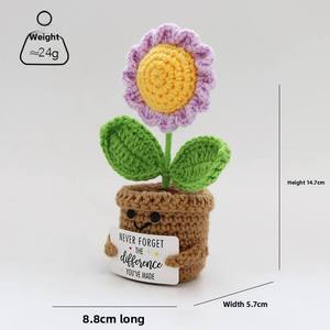 Maceta de Flores de Ganchillo Personalizable y al por Mayor, Directo de Fábrica, para Decoración de Aulas para Estudiantes - Product Image 2