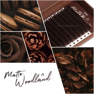 Charmlash Vente en gros de plateaux de cils individuels, extensions de cils brun clair, extensions de cils, emballage individuel - Product Image 2