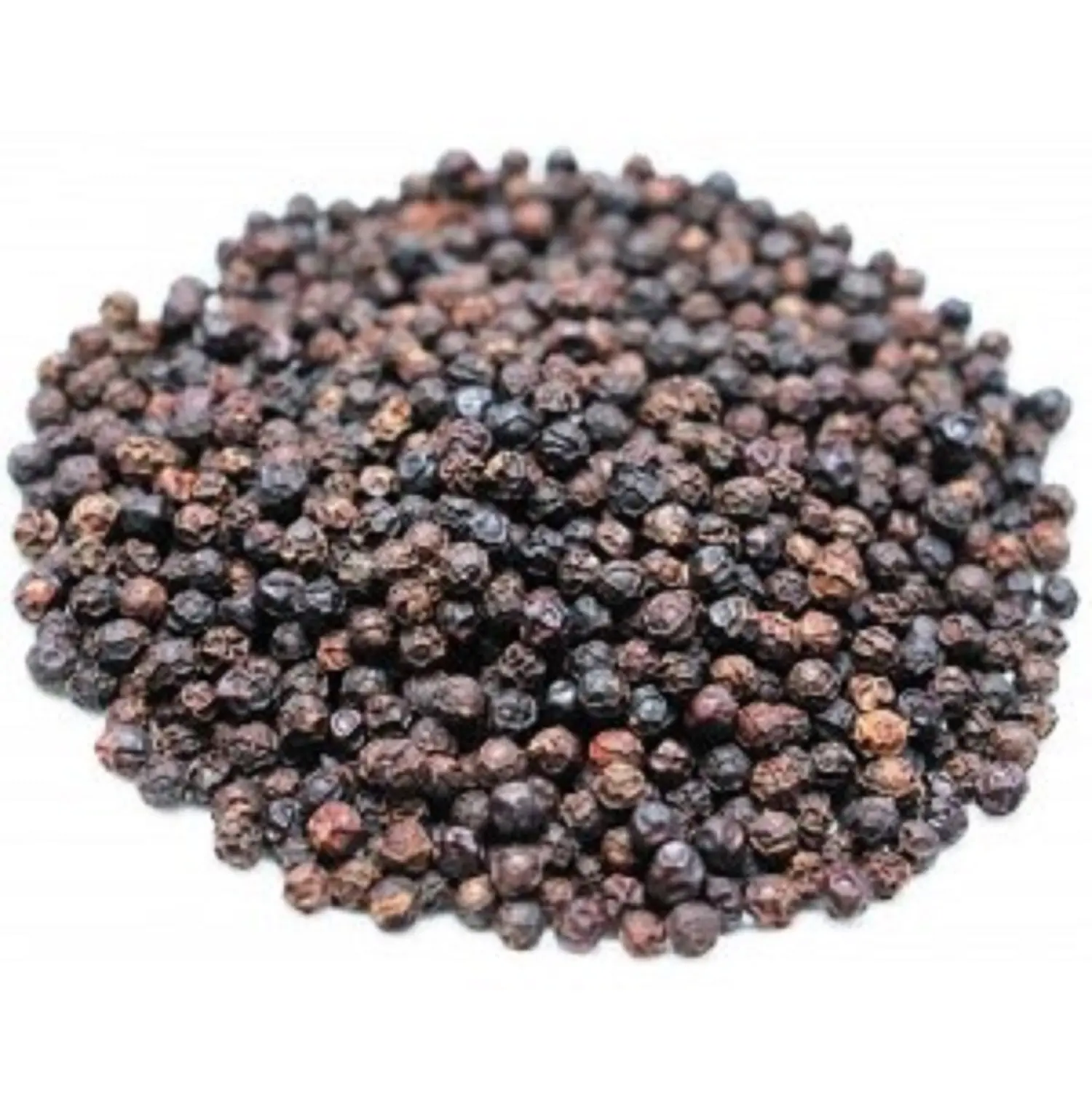Best Quality Organic Black Pepper Single Herbs & Spices from Vietnam at Low Wholesale Price