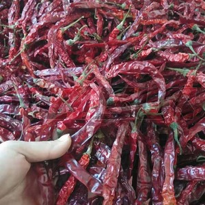أتوماتيكية بالكامل لتجفيف الطعام والفلفل الحار الأحمر - Product Image 6