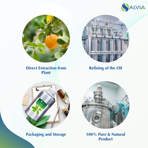 Venta al por mayor a granel 100% aceite esencial Petitgrain puro y natural embalaje personalizado precio bajo - Product Image 4