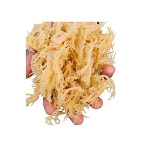 Musgo marino orgánico a granel: ideal para dietas veganas, cetogénicas y desintoxicantes, ¡los precios al por mayor más bajos! - Product Image 6