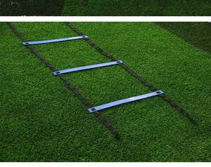 Multi-Size Agility Training Ladder for <b>Soccer</b>/Football Feet Training PP Material Yellow or Custom Colors - Product Image 3