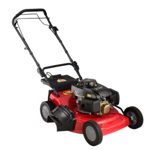 Tondeuse à gazon à essence 19 "105cc à poussée manuelle coupe-herbe et outils de jardin tondeuse à gazon à essence - Product Image 1