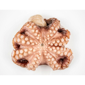 Venta al por mayor de pulpo entero congelado, suministro a granel, precio asequible, captura fresca congelada - Product Image 2