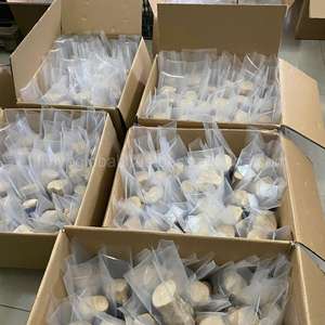 Juguete Masticable de Madera de Café Orgánica para Perros, Madera Natural Sólida que Ayuda a Limpiar los Dientes, Alivia el Estrés y Mantiene a los Perros Entretenidos - Product Image 5