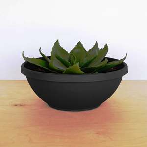 ชามไม้เรซินขนาดกลางทุกวันทำจากไม้และเรซิ่นแบบหมุนได้ในราคาที่ดีที่สุดสินค้าออกแบบได้ตามต้องการผลิตในอินเดีย - Product Image 3