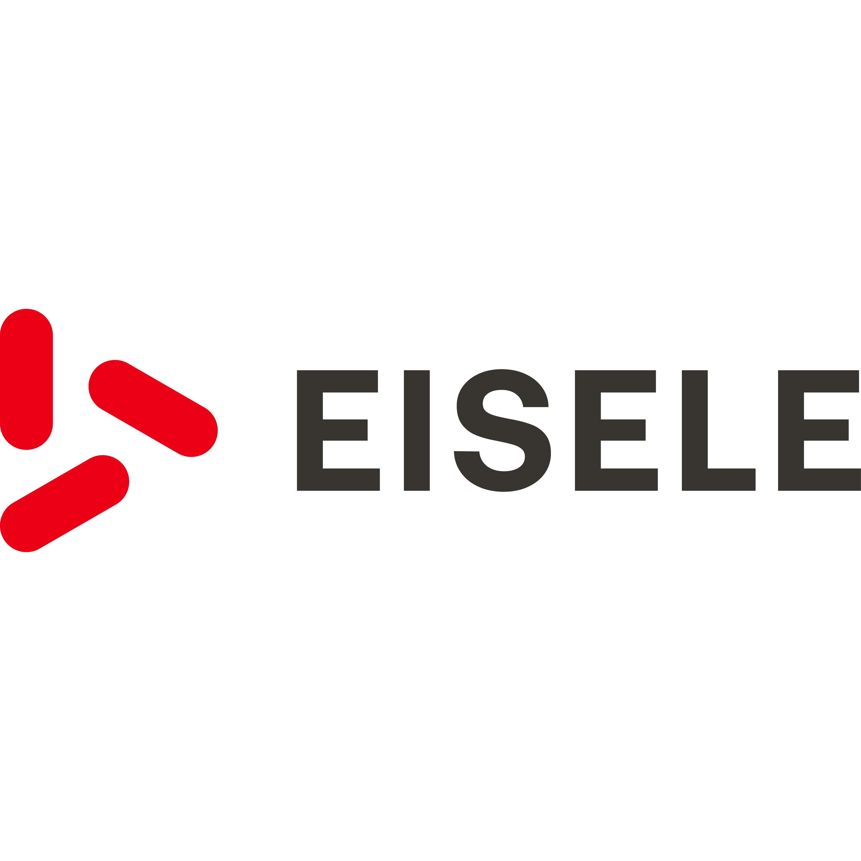 Franz Eisele u. Söhne GmbH & Co. KG logo