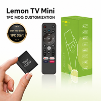 BOXPUT Lemon TV Mini TV Box Allwinner H618 Android 12.0 2G 16G 4K WIFI6 BT5.4 IATV Interfaz de Usuario de Arranque Personalizada 1 unidad MOQ TV CMS OEM ODM Fábrica