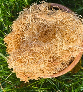 สาหร่ายทะเลแห้งธรรมชาติ - Product Image 4