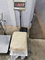 Anacardos Crudos Orgánicos de Tamaño Completo W320 W240 W450 Jumbo 100% Blancos, Nuez de Anacardo de Vietnam, Calidad Premium AA
