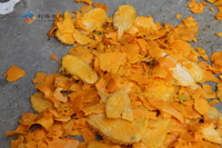 Industriële Sinaasappel En Mangosap Verwerkingslijn Mangopulp Maken Machine Mango Pulp Crusher Machine