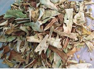 Fabricantes de hojas secas de Aloe Vera de alta calidad utilizadas para la nutrición de la piel y el tratamiento del cuero cabelludo DE LA India al mejor precio - Product Image 4