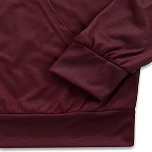 2025 sweats à capuche de sport imprimés personnalisés sweats pour hommes de haute qualité décontracté en vrac basiques couleur unie conçu sur mesure pour l'hiver - Product Image 4