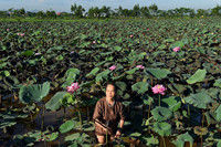MEILLEUR PRODUIT FIBRE DE LOTUS ROYALE SOIE DE LOTUS NATURELLE DU LOTUS BLEU DU VIETNAM