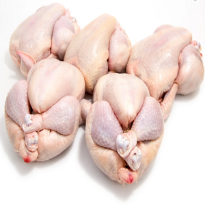 Cortes de Pollo Entero Congelado, Pollo Halal / Carne de Pollo Brasileña - Product Image 2