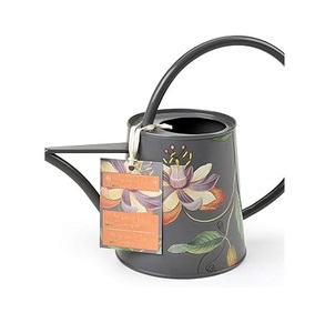 ไม้เท้ารดน้ำโลหะขัดเงาสวยงามทนทานดีไซน์แฟนซี - Product Image 5