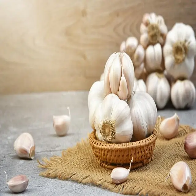 محصول ثوم طازج مصنع من الفلبين للبيع بالجملة من المورد، ثوم أبيض عالي الجودة للتصدير