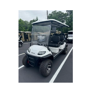 Nouvelle arrivée : Voiturette de golf 2 places, 4 places, modèle mis à jour - Product Image 1