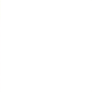 SPECIAL 1724 Synthetic Kitchen <b>Brush</b> - Product Image 2