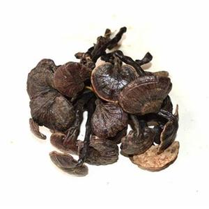 Pure Palm Kernel Shell (PKS) para biocombustible y material industrial a la venta a precio de lote - Product Image 4