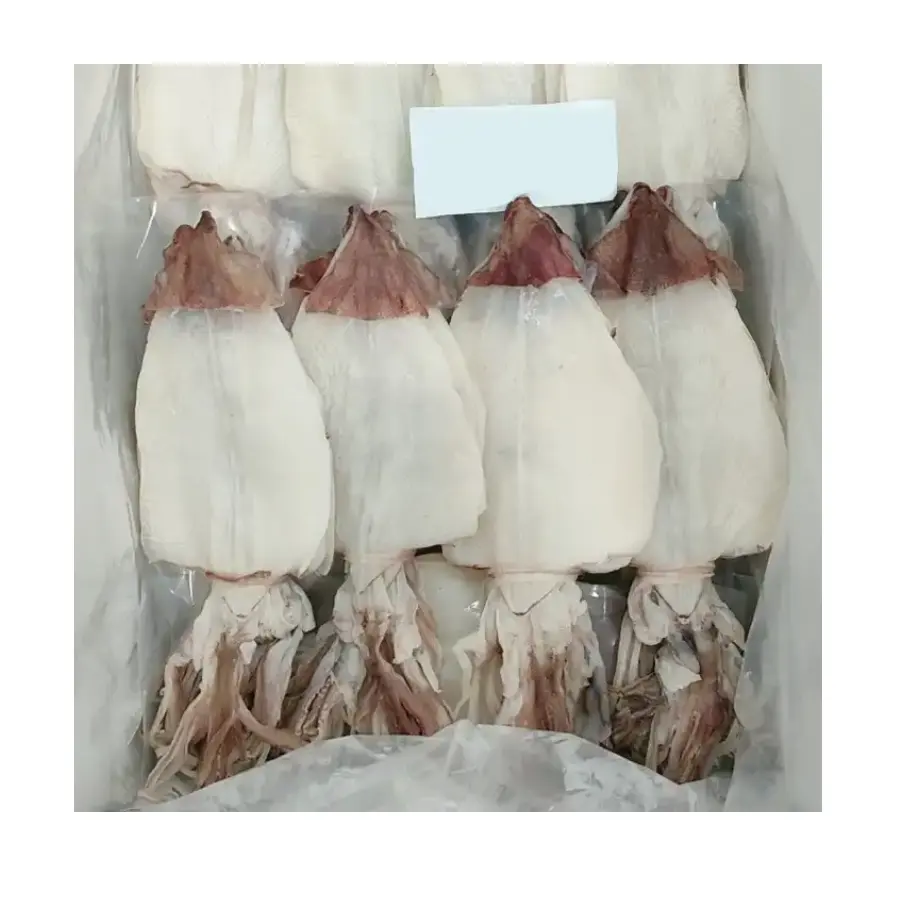 Tintenfisch Calamari Export nahrhaftes Merkmal Gute Zutaten Standard Export Wettbewerbs fähiger Preis Getrockneter Tintenfisch Vietnam
