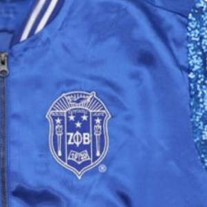 Ventes en gros de nouvelles arrivées : veste bomber en satin avec manches à sequins, style Delta/Sigma/Theta, vêtements grecs élégants pour sororité - Product Image 5