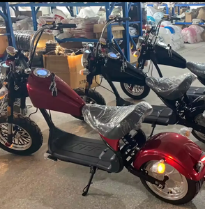 Tout nouveau moteur d'origine Dogebos EEC COC H6 Citycoco Scooter électrique 2000W 45 KM/H - Product Image 2