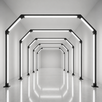 Tunnel lumineux LED pour inspection de peinture, contrôle des marques de tourbillon et inspection de détail automobile, IP54, en vrac