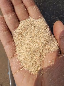 Épis de chlorure de caféine de qualité alimentaire à prix compétitif, transporteur d'additifs alimentaires, approvisionnement Direct d'usine pour l'exportation uniquement depuis le Vietnam - Product Image 2