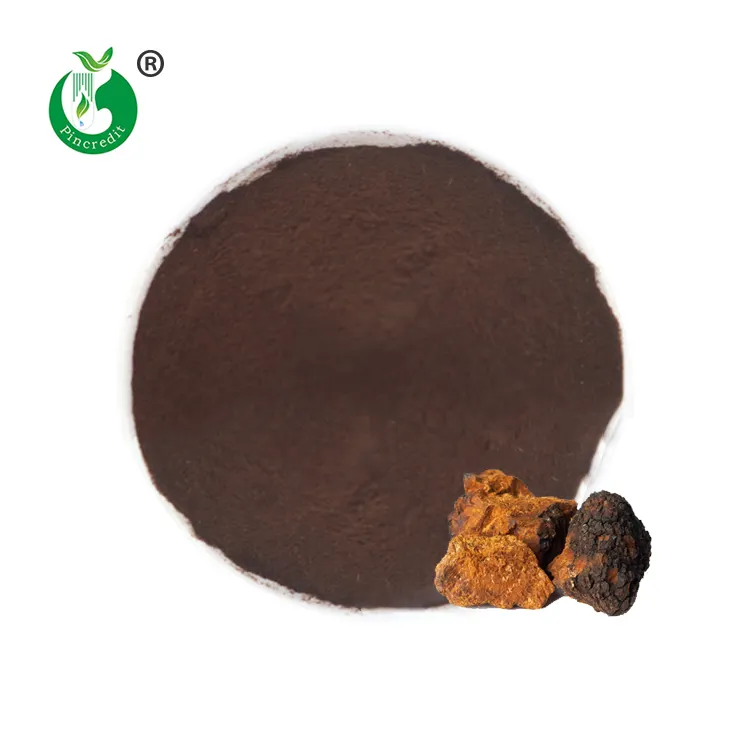 Pincredit Supply Natural 30% 60% Organic Chaga Mushroom Extract Powder