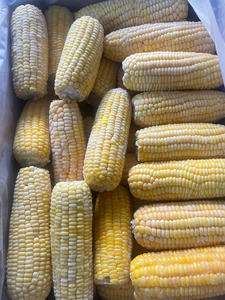 Magia del Maíz Congelado de Vietnam: Maíz Congelado Amarillo 100% Natural, Dulce para Comidas Fáciles, Bebidas y una Delicia Culinaria Viral del Maíz Congelado - Product Image 6