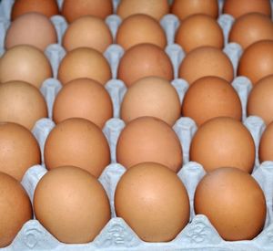 Ovos de mesa de frango frescos, ovos de galinha marrom e branco, para venda