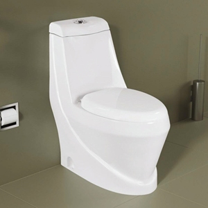 Inodoro Contemporáneo de Una Pieza, Alargado, con Descarga por Gravedad, Montado en el Suelo, de Porcelana, Ecológico, Fácil de Limpiar, con Sifón en P, Garantía de 5 Años - Product Image 3