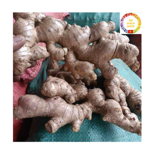 Cubos de Jengibre Orgánico Congelado IQF, Jengibre Entero Pelado Picante, Solución de Exportación a Granel de Raíz de Jengibre Vegetal IQF de Productor Vietnamita - Product Image 2